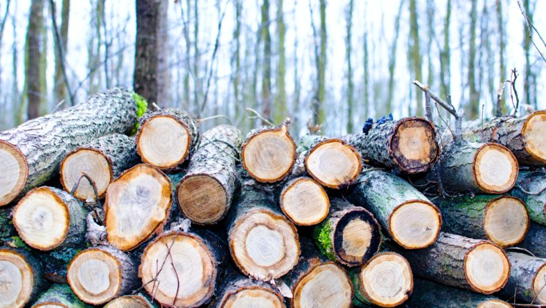 Holzverknappung gefährdet nicht nur Bauprojekte sondern ganze Existenzen im Handwerk…
